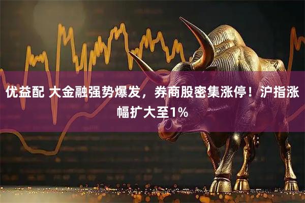 优益配 大金融强势爆发，券商股密集涨停！沪指涨幅扩大至1%