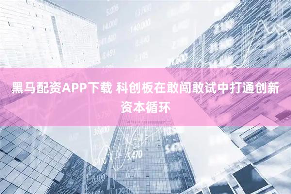 黑马配资APP下载 科创板在敢闯敢试中打通创新资本循环