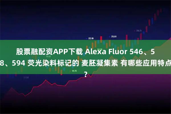 股票融配资APP下载 Alexa Fluor 546、568、594 荧光染料标记的 麦胚凝集素 有哪些应用特点？
