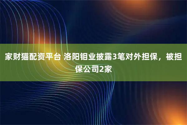 家财猫配资平台 洛阳钼业披露3笔对外担保，被担保公司2家