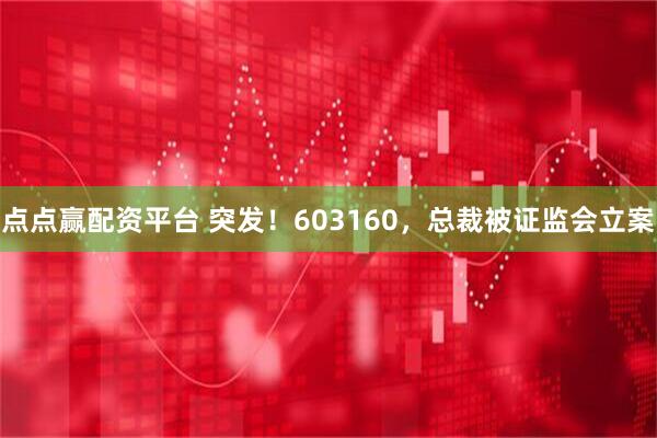 点点赢配资平台 突发！603160，总裁被证监会立案