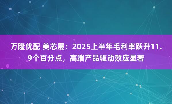 万隆优配 美芯晟：2025上半年毛利率跃升11.9个百分点，高端产品驱动效应显著
